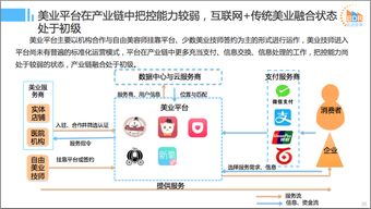 2016年中國互聯(lián)網(wǎng)本地服務(wù)競爭格局研究報告